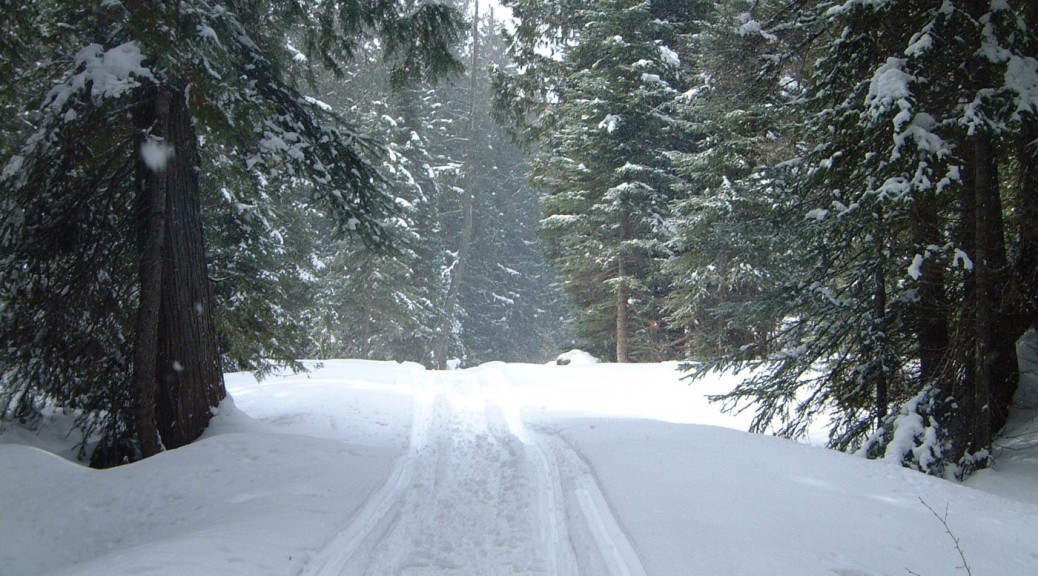 Snowmobile Trail